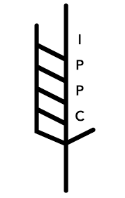 Diapo 17-Logo NIMP15.png