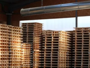 Piles de palettes en bois dans l'entrepôt de Janès Timber