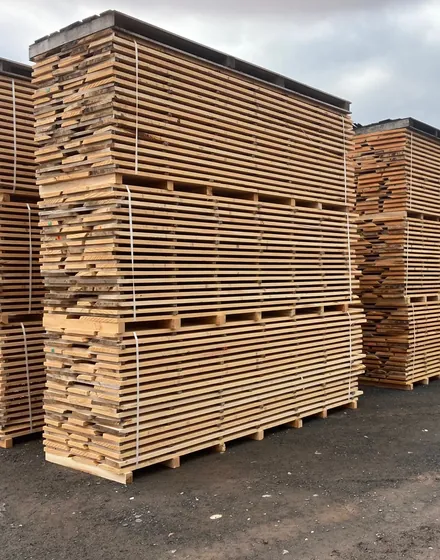 Piles de plateaux de hêtre sur liteaux, en séchage à l'air libre sur le parc
